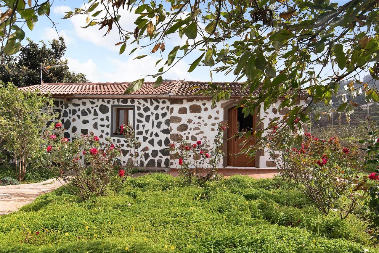 La Casita De Abuela Paula Daire Valleseco Dış mekan fotoğraf